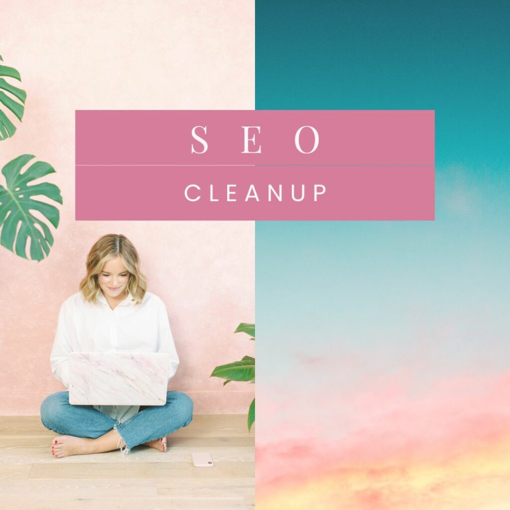 seo cleanup service