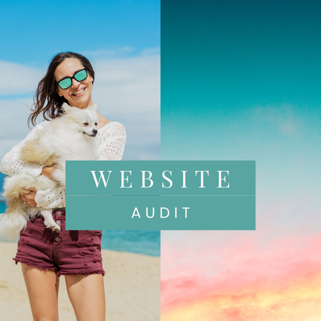 website audit